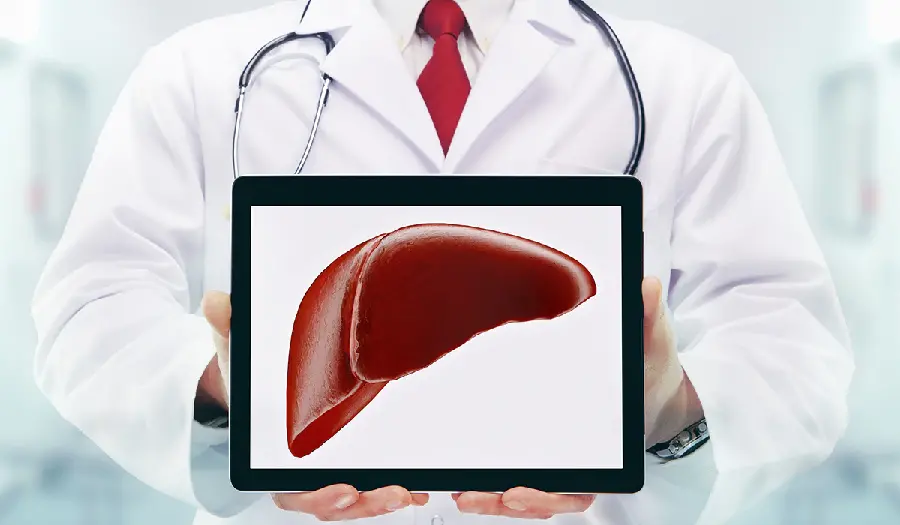 Human Liver Wallpaper for Doctors and Physicians Background