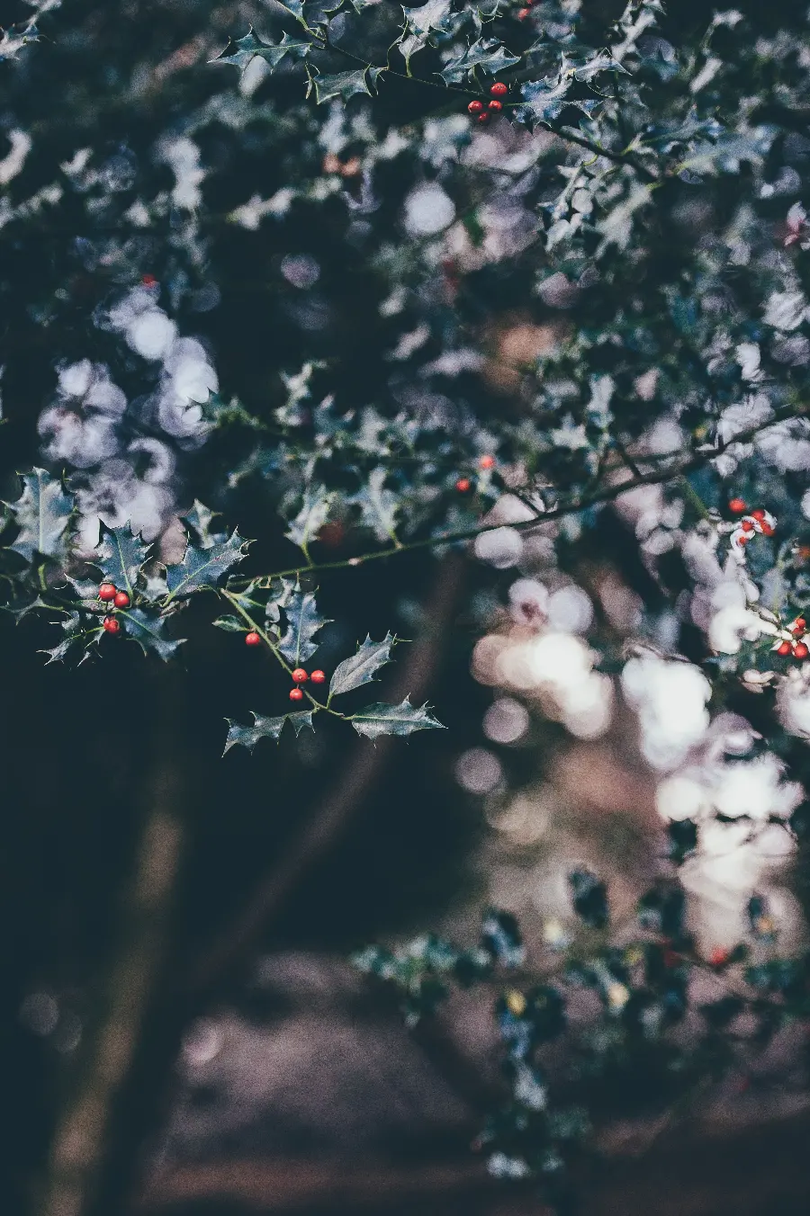 Girly background image for iPhone 6S, 6, 5S in FULL HD quality