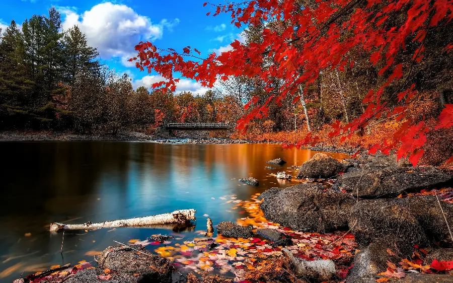 Beautiful and attractive image of autumn nature with a cloudy sky and a calm pond with beautiful trees