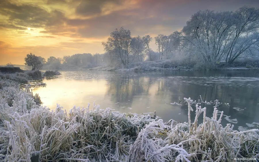 Photo of trees and river with frozen plants and grass in winter