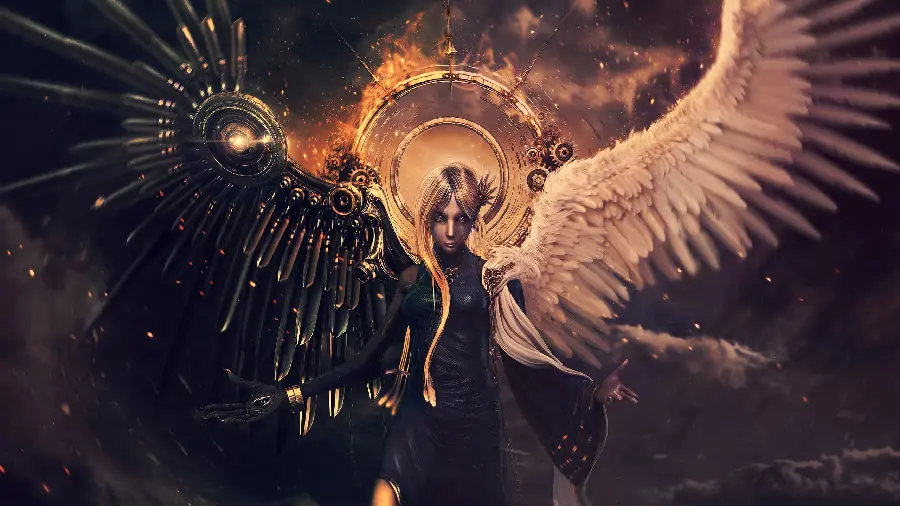 The Most Beautiful Profile Picture of Fantasy Anime Winged Angel Half Robot