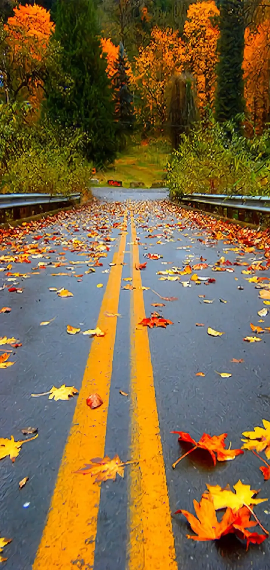 Background photo of the autumn season and the road for smartphones