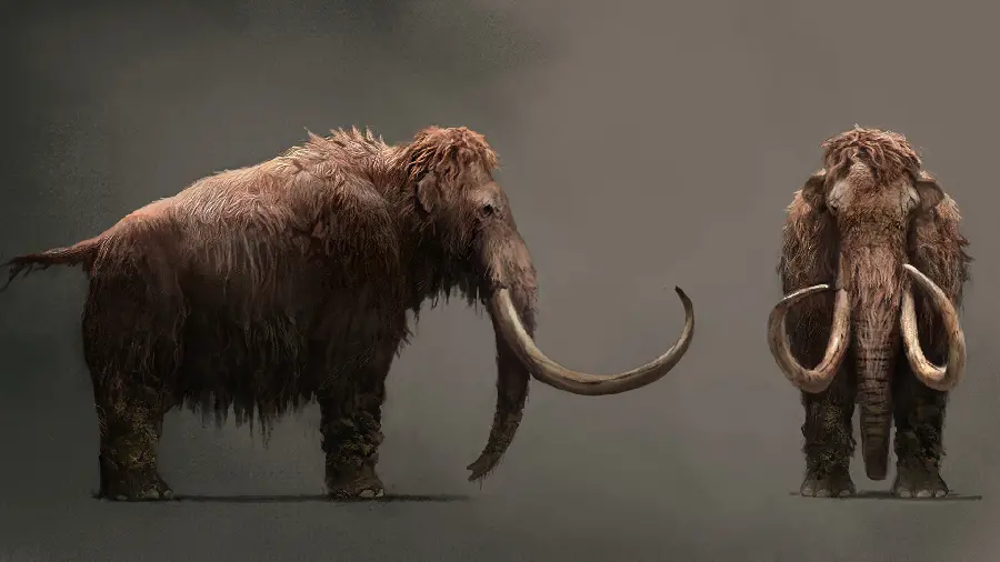 Image of two mammoths together on a gray background