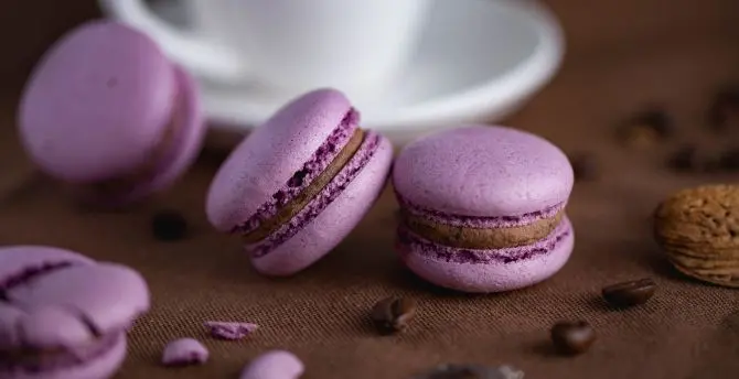 Attractive photo of purple macaron next to a cup 