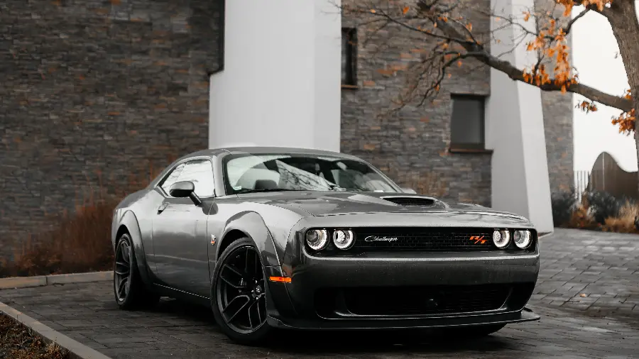 Dodge Challenger Car Background with a Special and Beautiful Color for Mobile Phone
