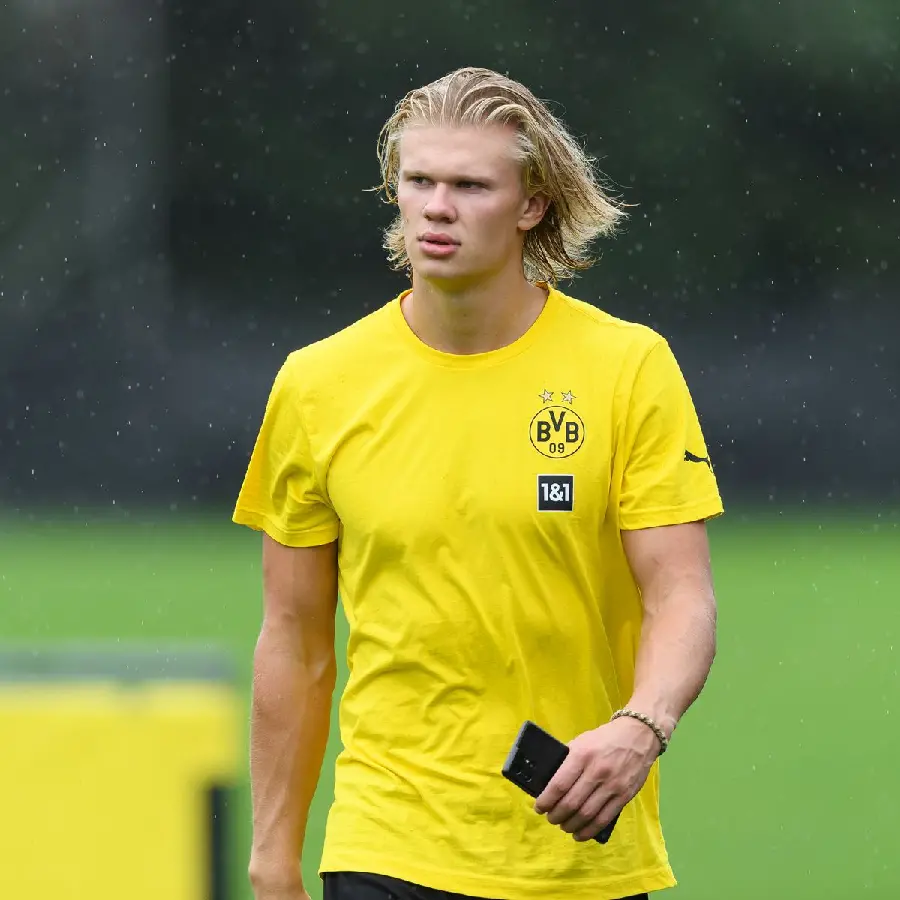 Erling Haaland background