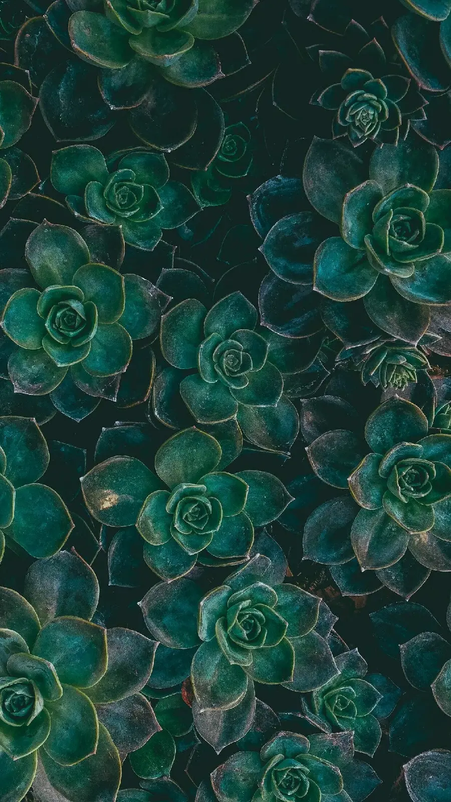  Download the original and original iPhone 11 Pro Max background and wallpaper
