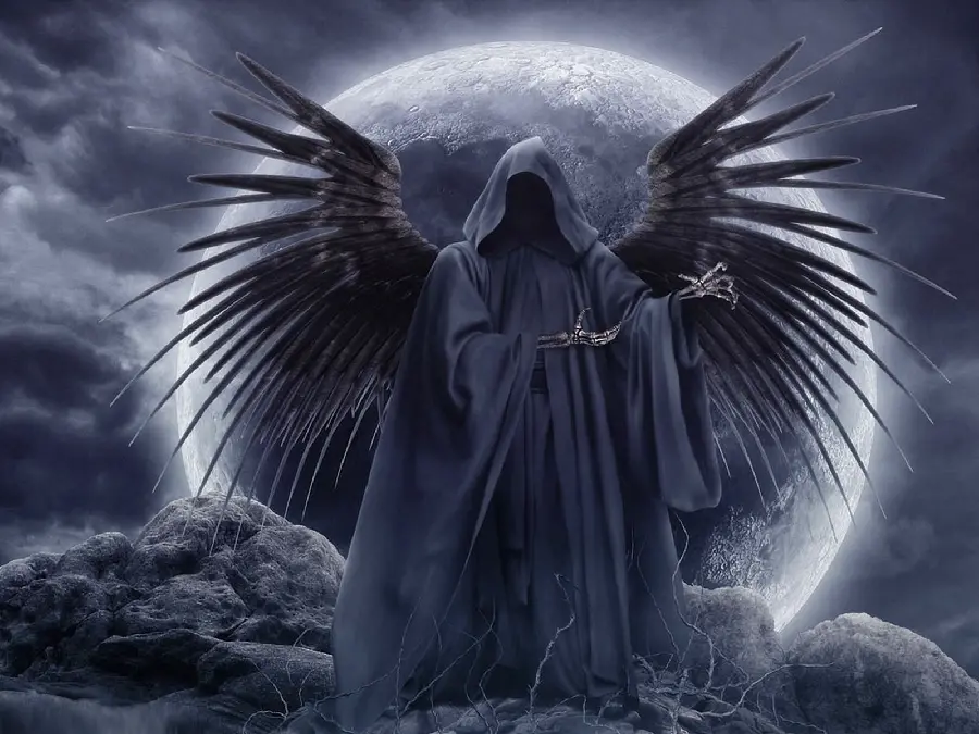 Winged angel HD profile photo Skeleton in the Dark 