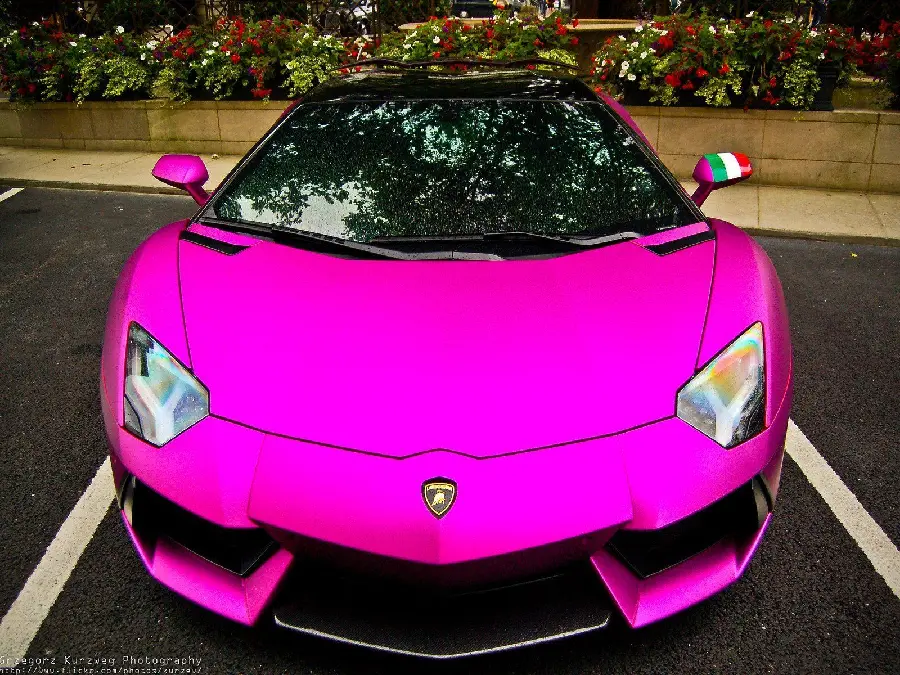 Cool pink car background, pink Lamborghini car