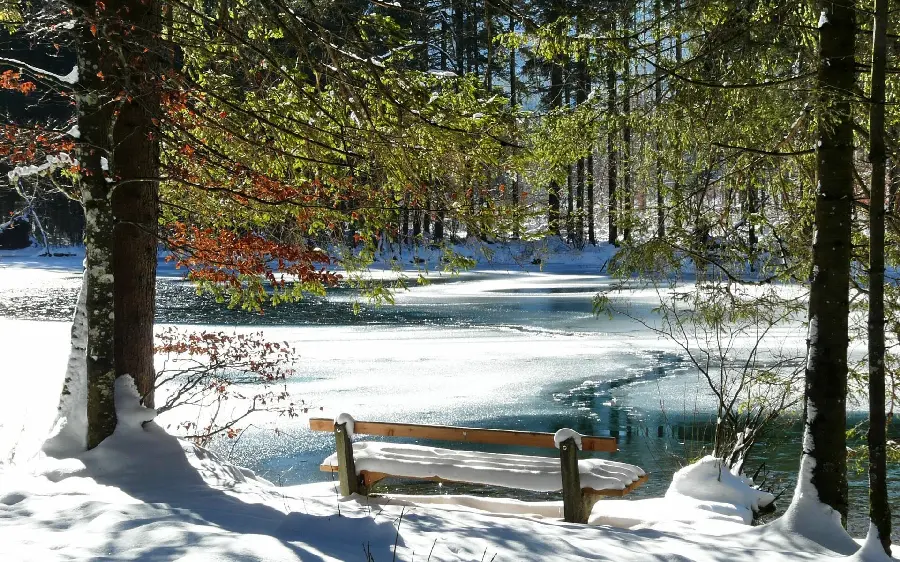 Stylish and beautiful high-quality images and photos of snowy landscapes and winter nature