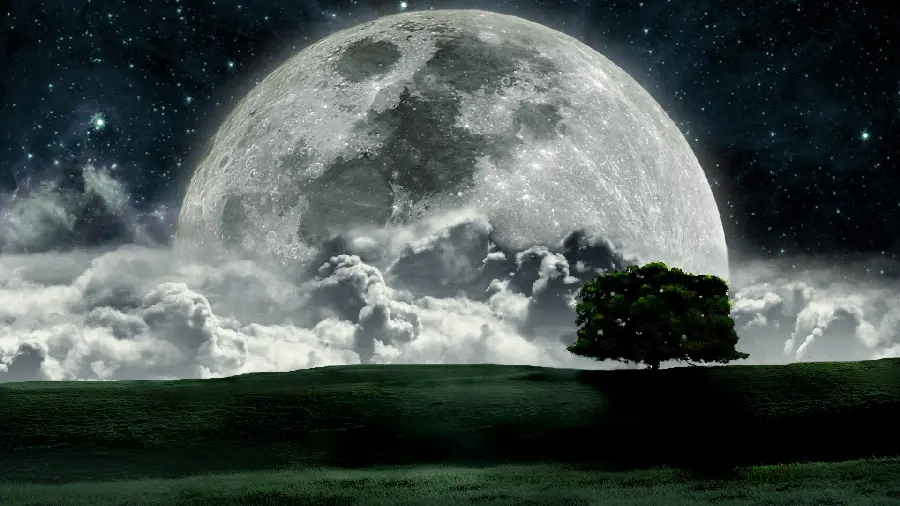Fantasy wallpaper of clouds and moon and trees for Samsung phone