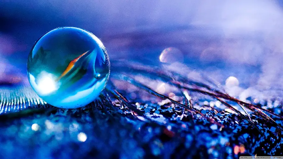Glass ball in macro photography in 4K quality