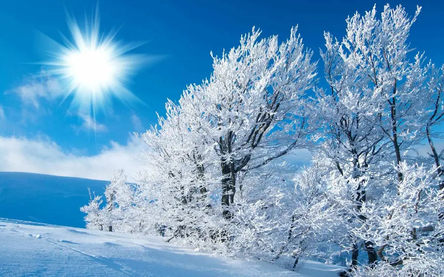 Special, attractive and beautiful winter profile photo for iPhone wallpaper