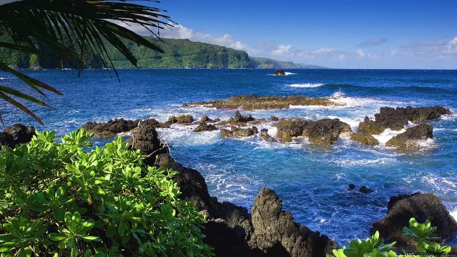 Download very beautiful photo of the ocean and rocksFrom the perspective of green trees in excellent quality