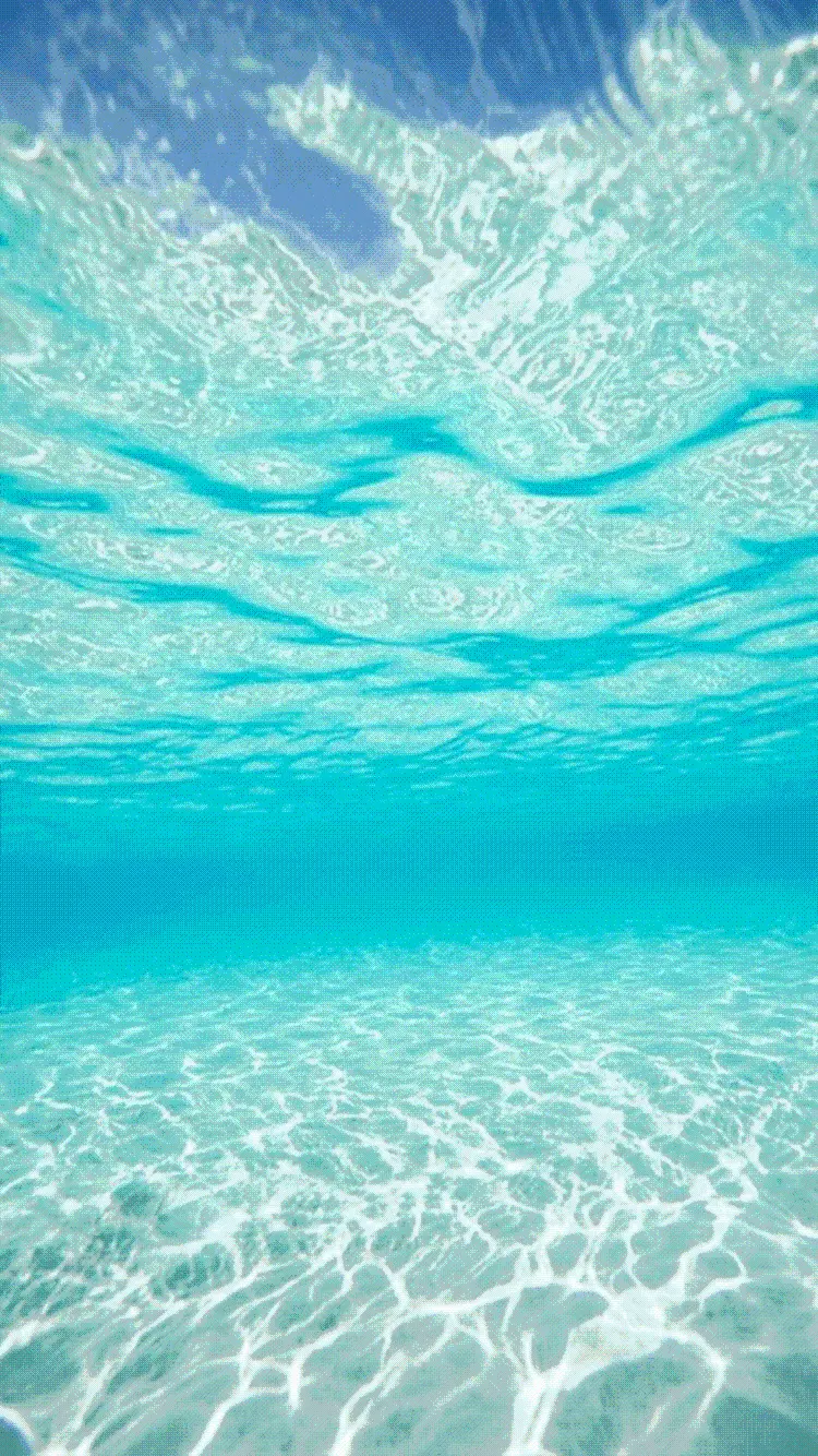 Download underwater and ocean and sea photos