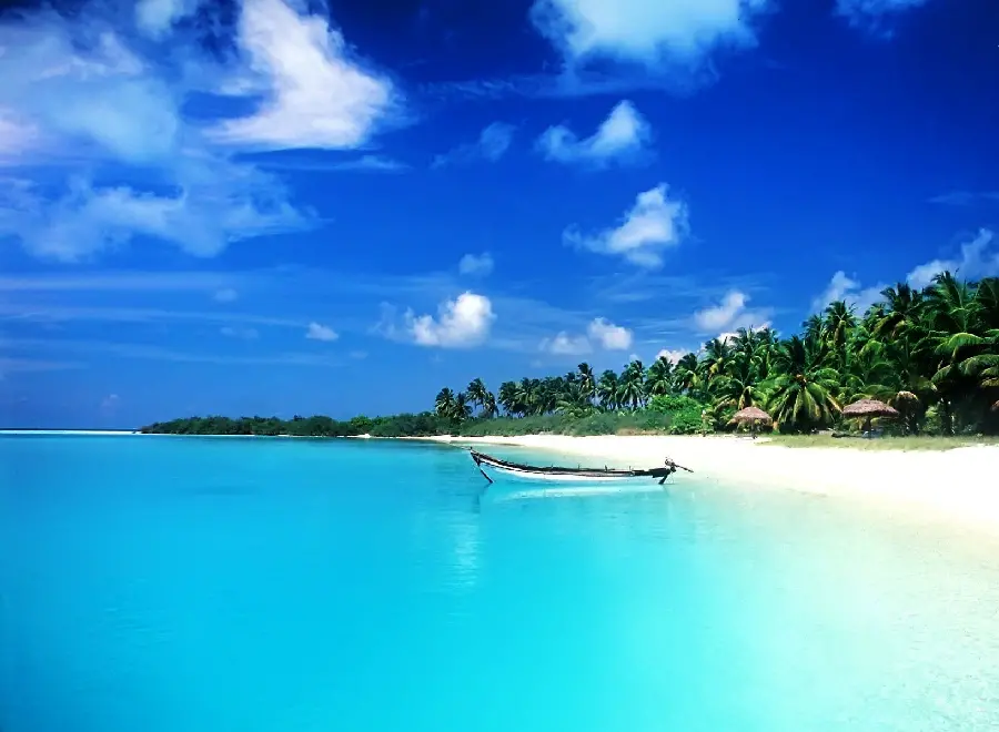 High quality photo of Jamaica