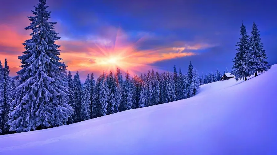 Beautiful and amazing photo of snow in winter with trees and a beautiful sky for your mobile phone background