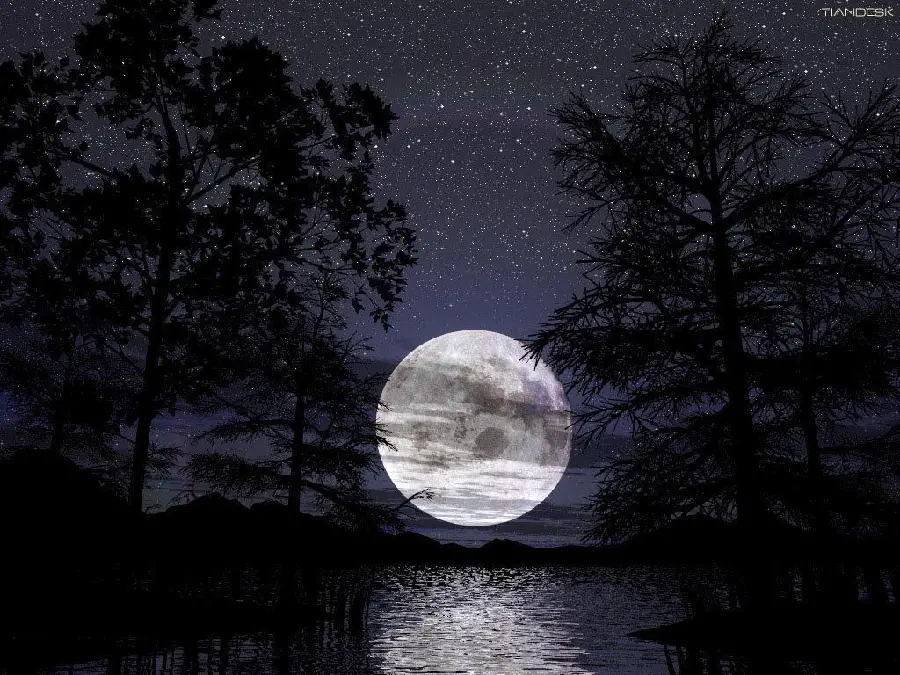 Wallpaper of the beautiful moon among the trees and its reflection in the sea