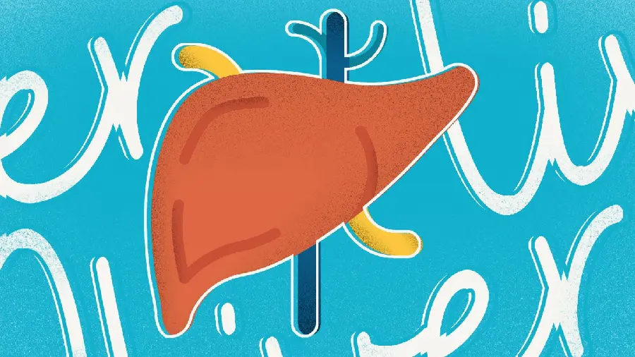 Photo of the human liver for phone and tablet wallpaper