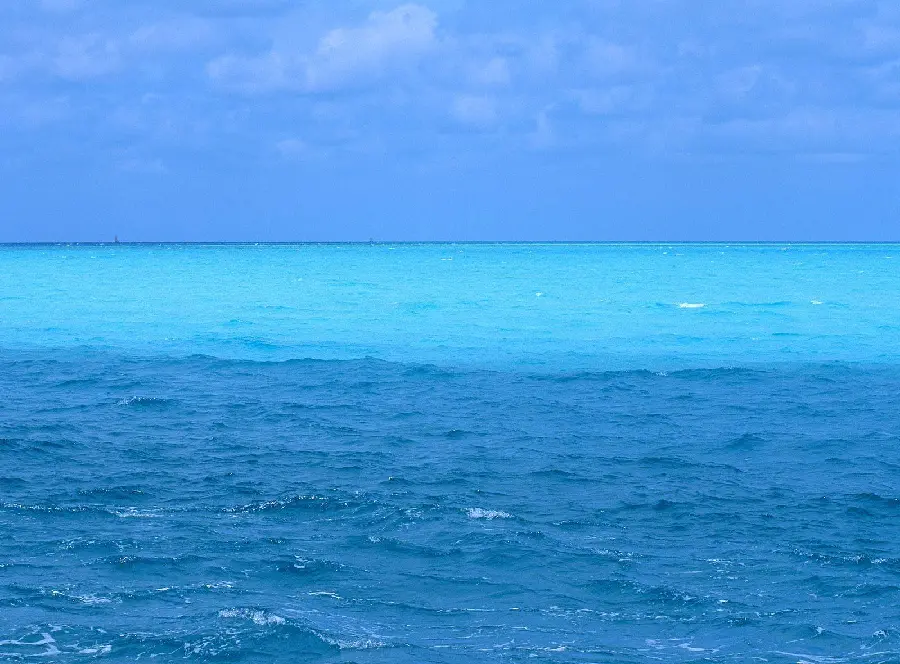 Download high quality Pacific ocean background image