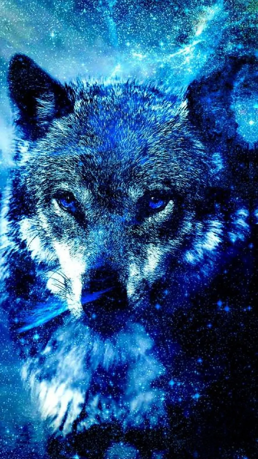 Beautiful and cool high-quality photo of a wolf