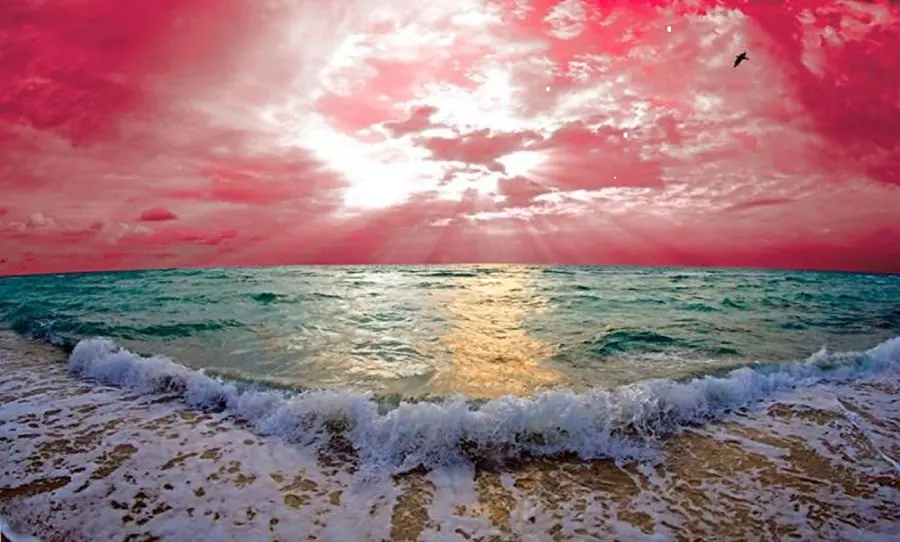 High quality sea waves nature profile photo