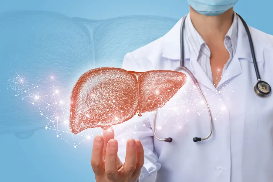 Photo of human liver for doctor and doctor profile