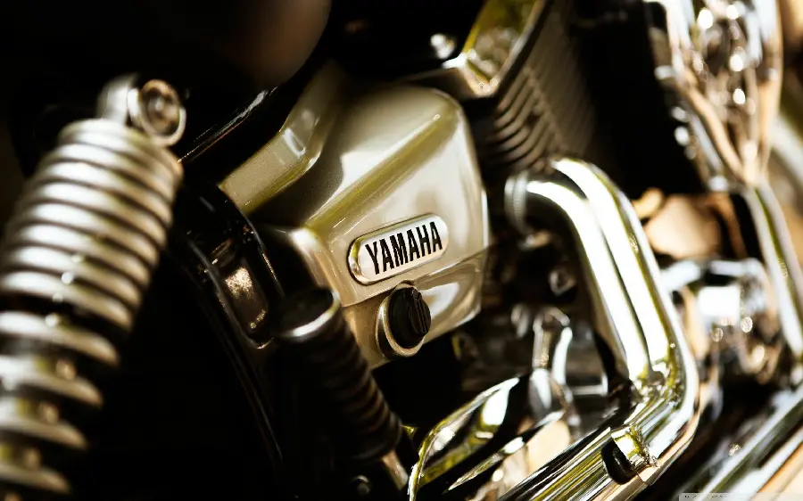 Yamaha Logo Photo with Very Soft and Flexible Springs