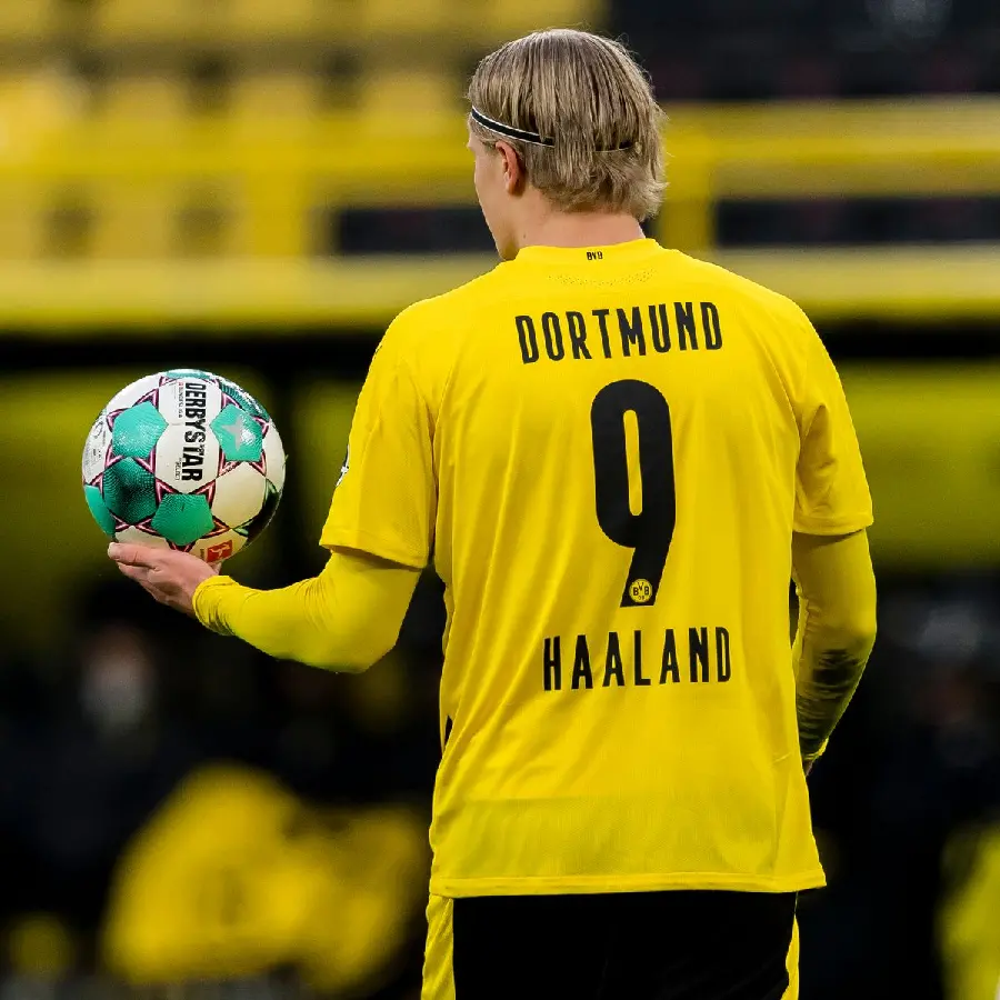 Erling Haaland image