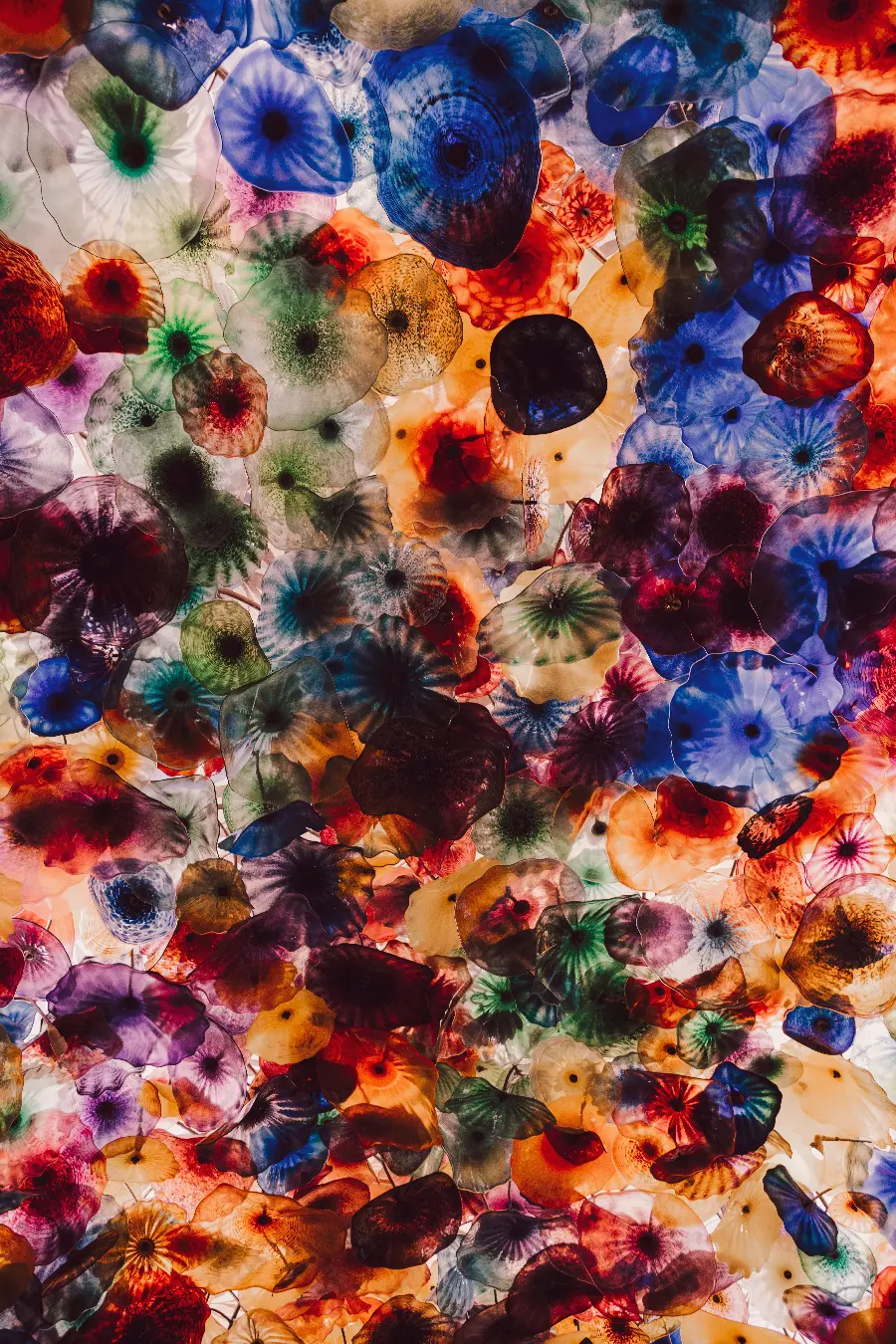 Samsung Galaxy 21S Wallpaper