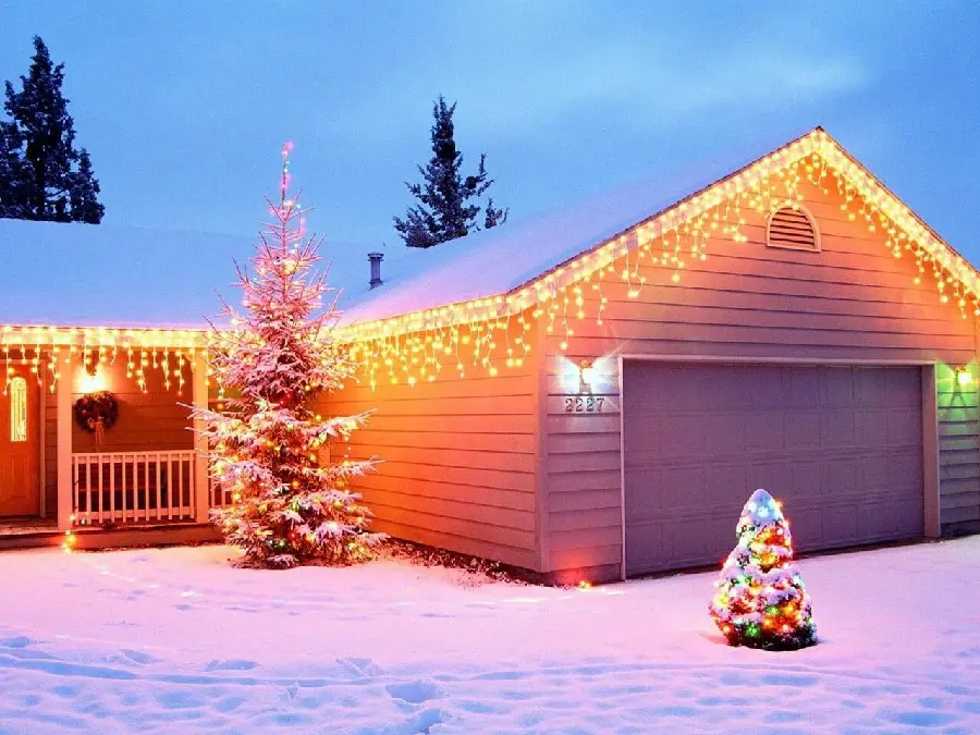 Wallpaper and background image of winter nature and Christmas tree for the New Year
