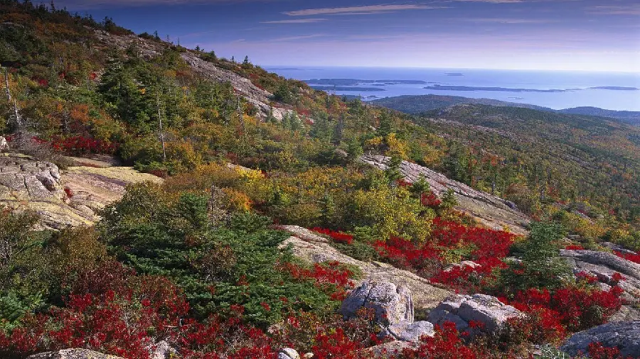 Photo of Acadia National Park in a beautiful spring view