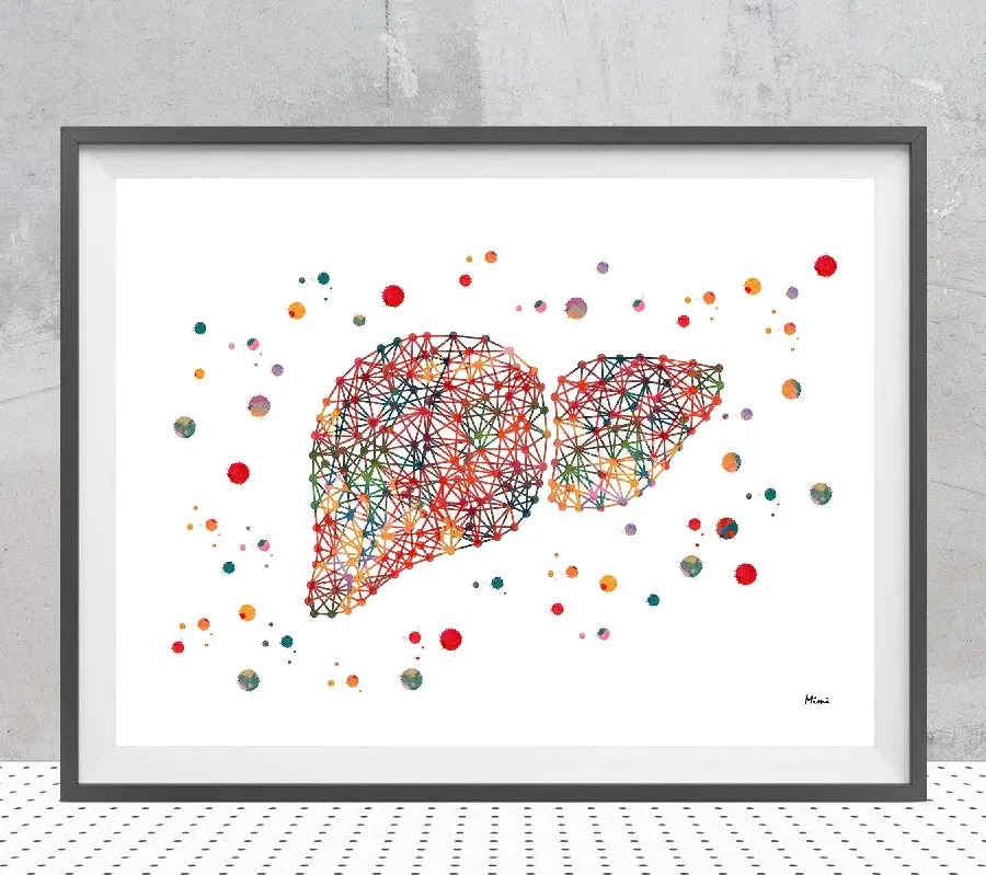 Photo of a human liver painting for printing on a banner for use in the office