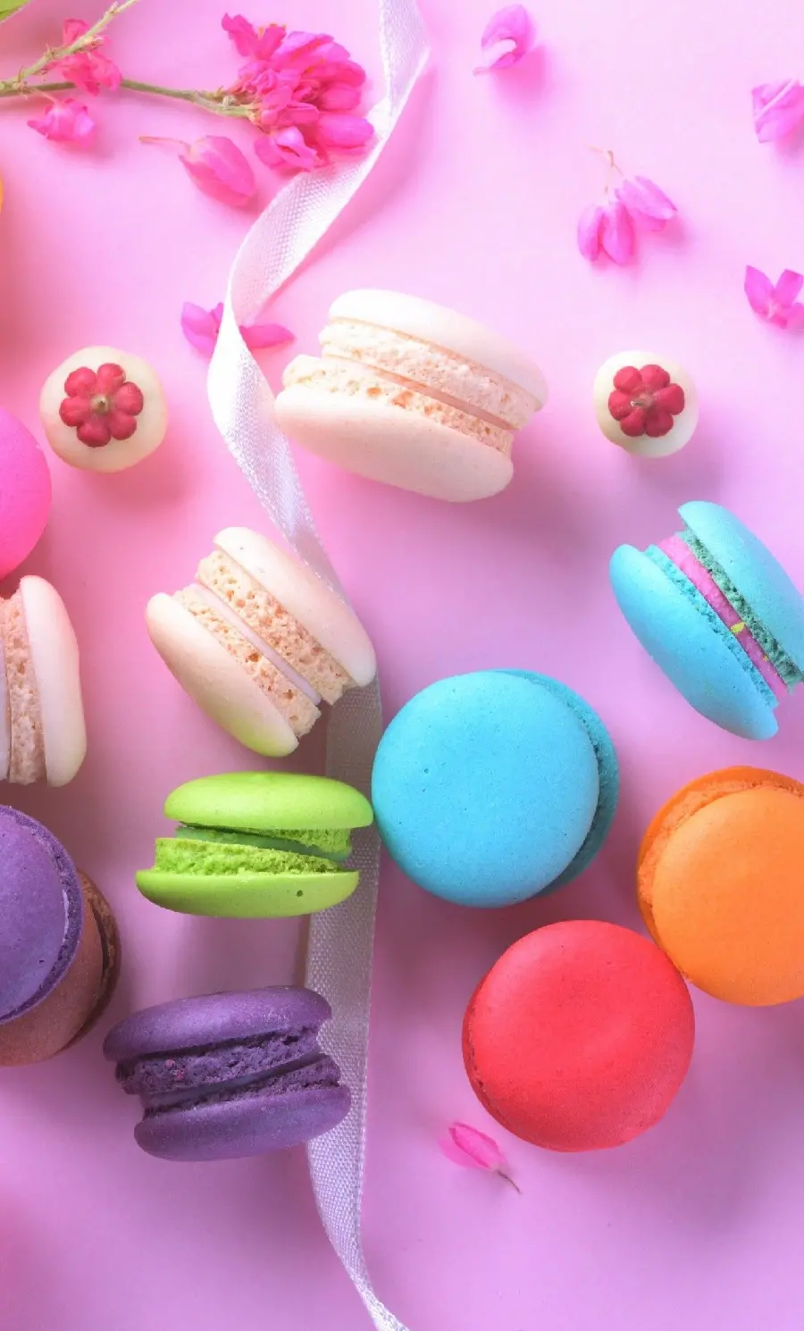 Beautiful wallpaper of colorful and attractive macarons with 4K quality