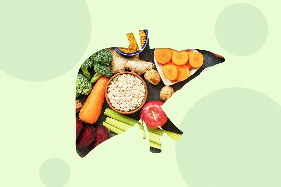 Photo of the human liver healthy