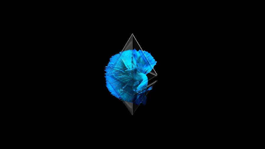 Ethereum Digital Currency Photo with Black Background