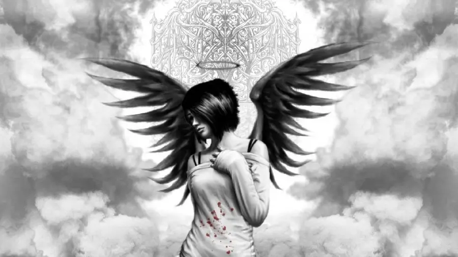 The most beautiful background of a winged angel photo Black with bloody clothes
