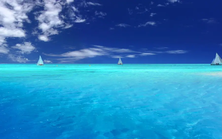 A unique and spectacular background of the ocean under the blue sky with short and soft waves for Windows 10 and 11