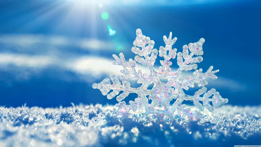 Snowflakes macro and spectacular photo