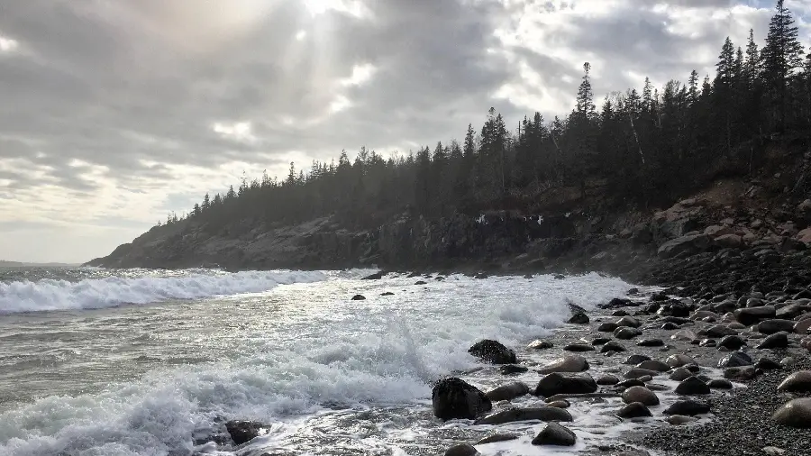 Download landscape photo of Acadia National Park for profile