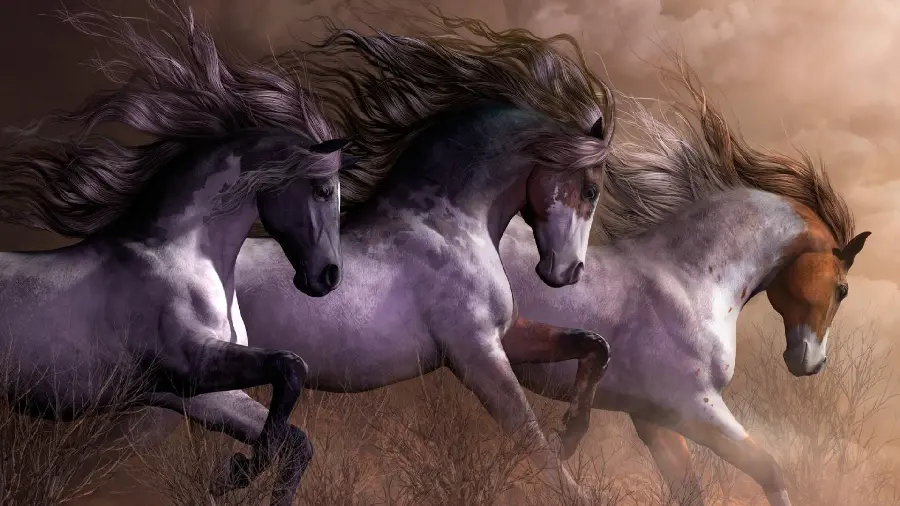 High quality wild horse wallpaper in nature