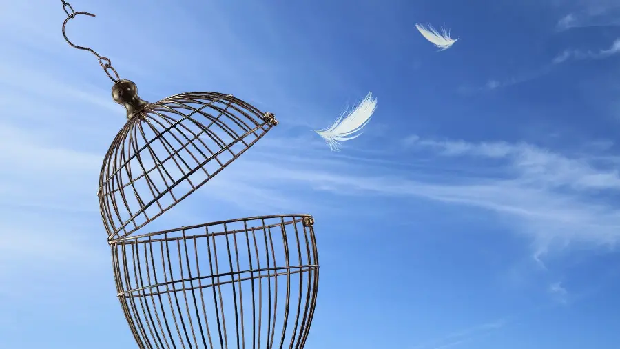 Freedom from the cage profile picture download
