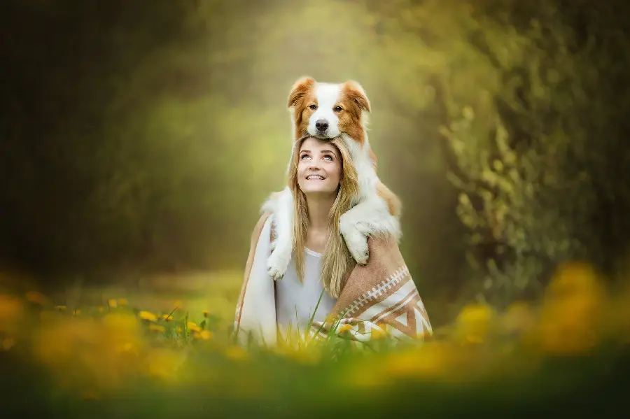 A beautiful girl's profile photo with a pet dog in the green forest