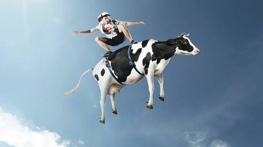 Fantasy and interesting photo with a cow flying with a boy for your phone wallpaper