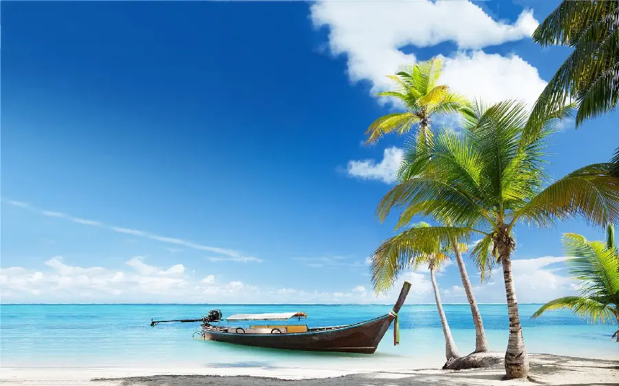Beautiful and high quality photo of the islands of Jamaica