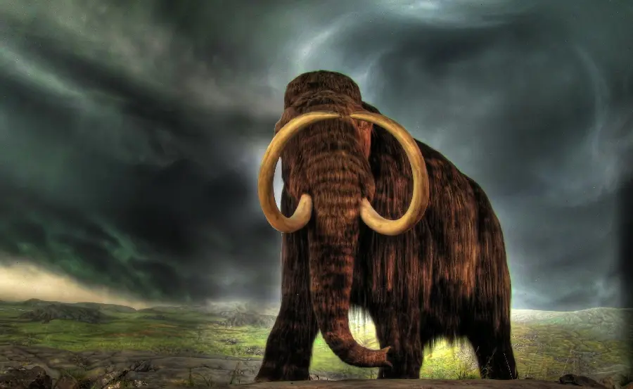Old Mammoth Wallpaper with Long Tusks in a Storm