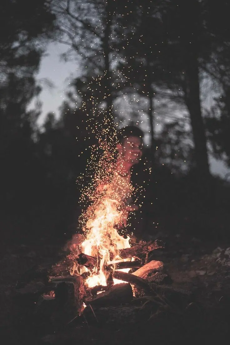 iPhone 13 Pro background with forest fire design in HD quality