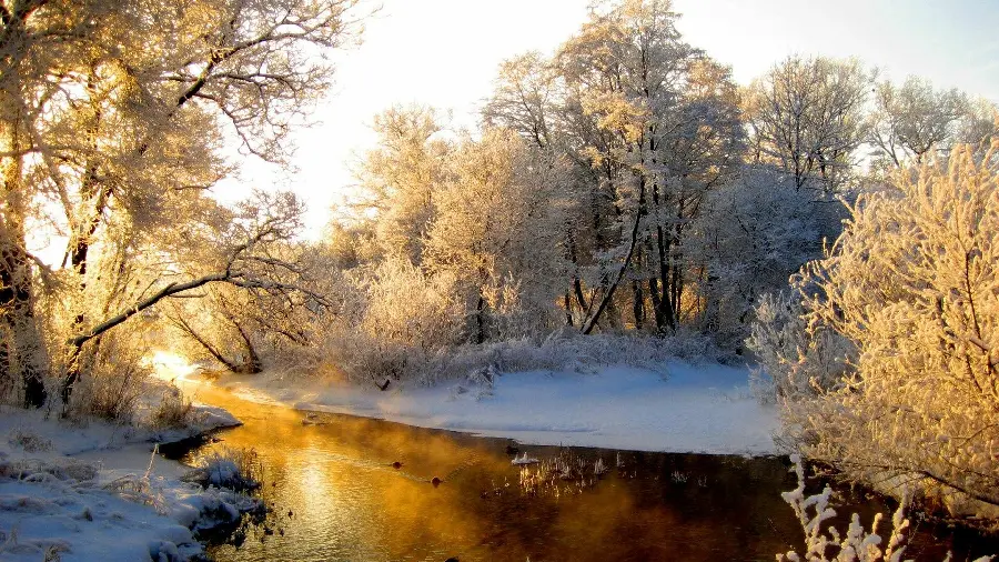Image of a flowing river with snow-covered trees and a lovely winter sunset for your computer background