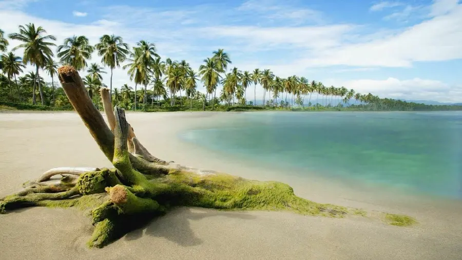 Unique beach wallpaper for desktop in full hd quality