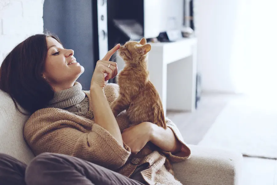 Beautiful and beautiful girl profile picture playing with a pet cat
